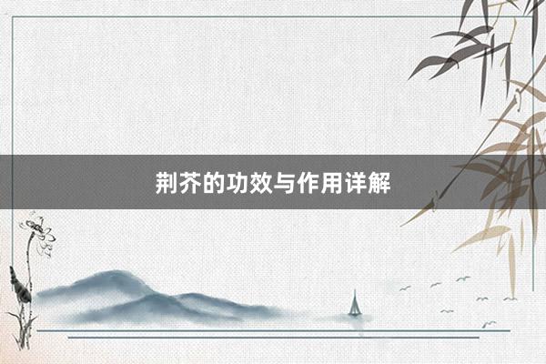 荆芥的功效与作用详解